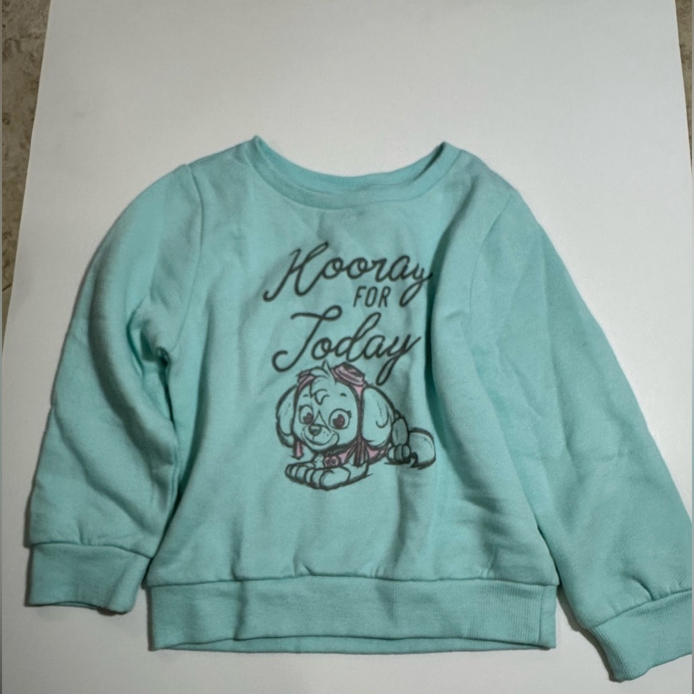 0435 NWT Paw Patrol Aqua Sweatshirt - Hooray for Today - Picture 5 of 7